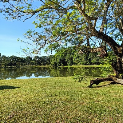 TechStride Phase 2 Azdeanna Hamdan post image