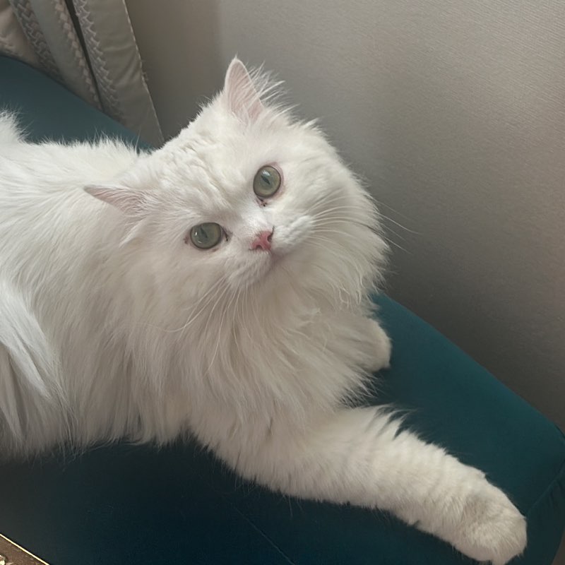 Latefa altwaem profile