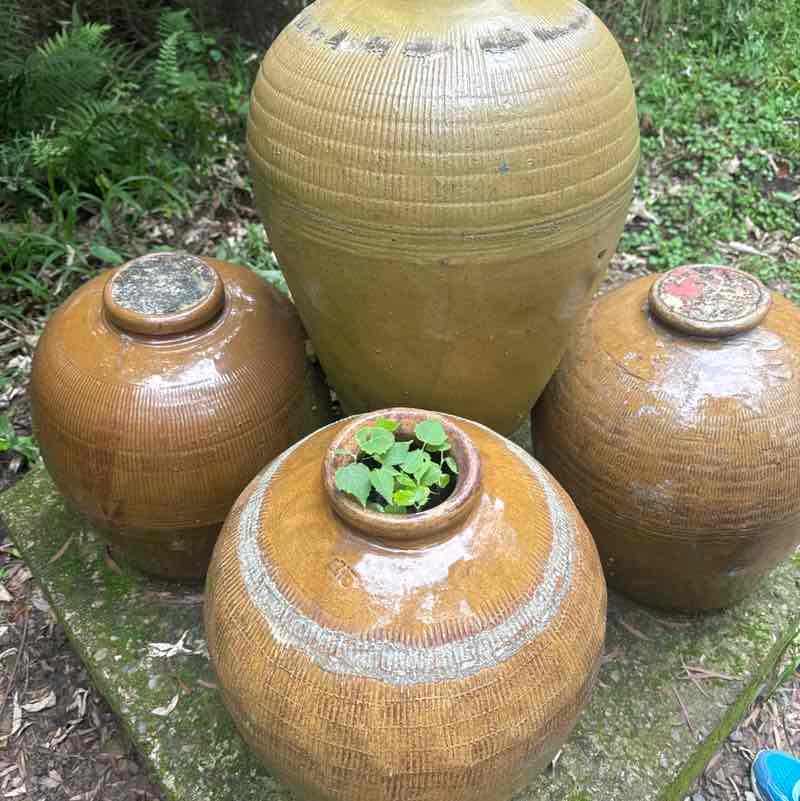 勞安衛生部 陳曉雲 post 3