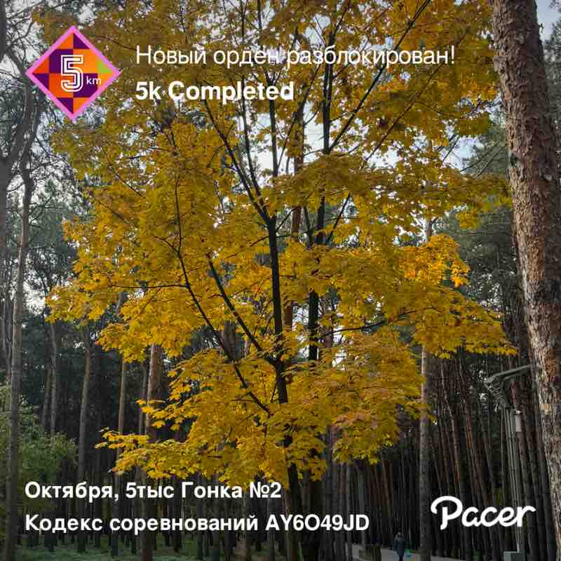 Альбина post 1