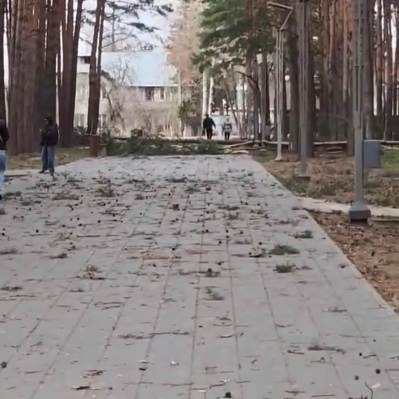 ☀️🔥 Альбина 🔥☀️ post 2
