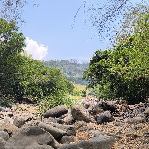 Mike Macaraig - Team Happy Feet