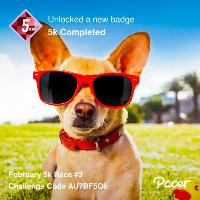 January 5k Race #4 Manjoo post image