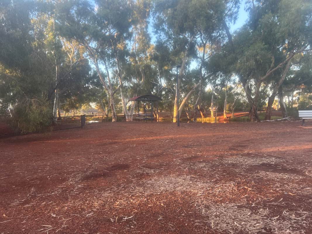 walking near me in Shepherdson Park in autumn