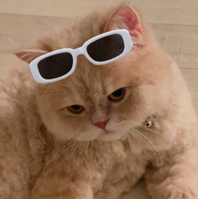 noura al-samikh profile