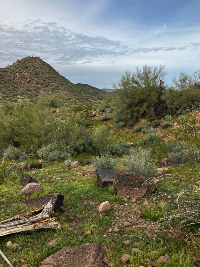 walking near me in Deem Hills Recreation Area in winter