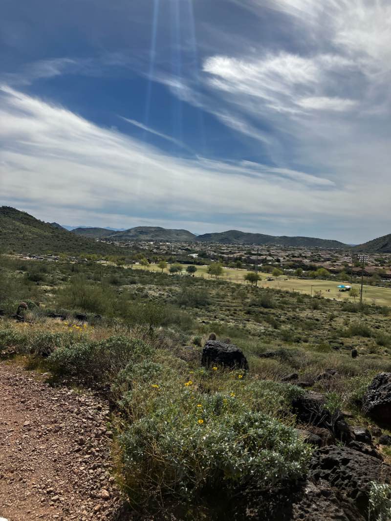 walking near me in Deem Hills Community Park in winter