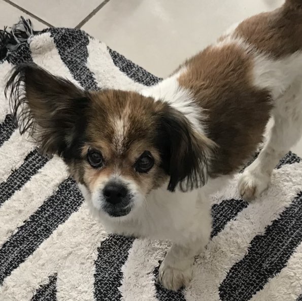 Thembelihle  profile