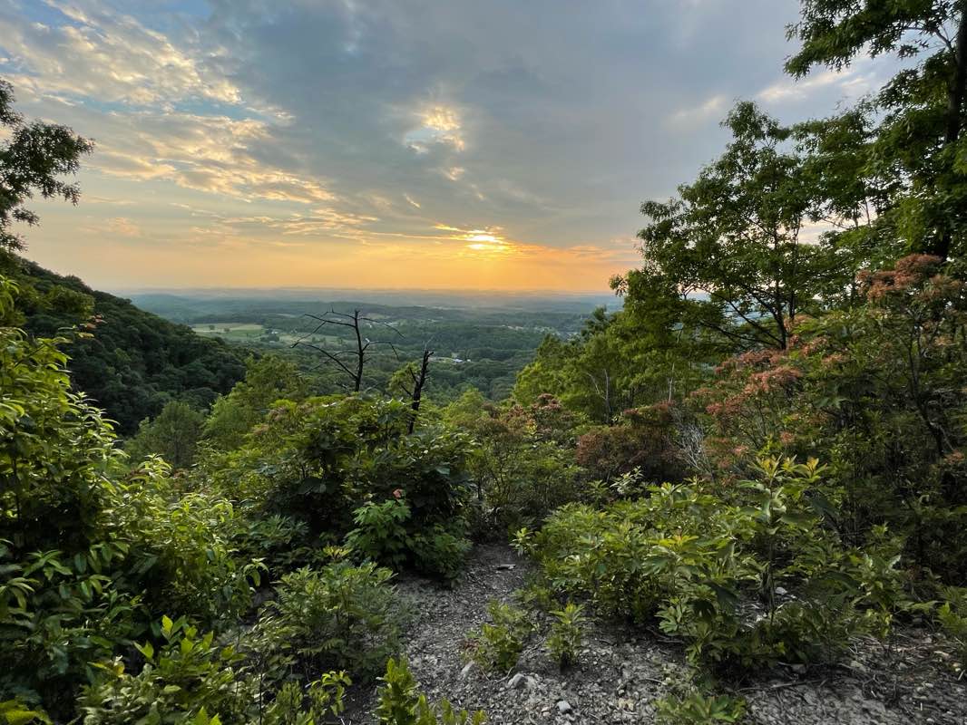 walking near me in Buffalo Mountain Park in summer