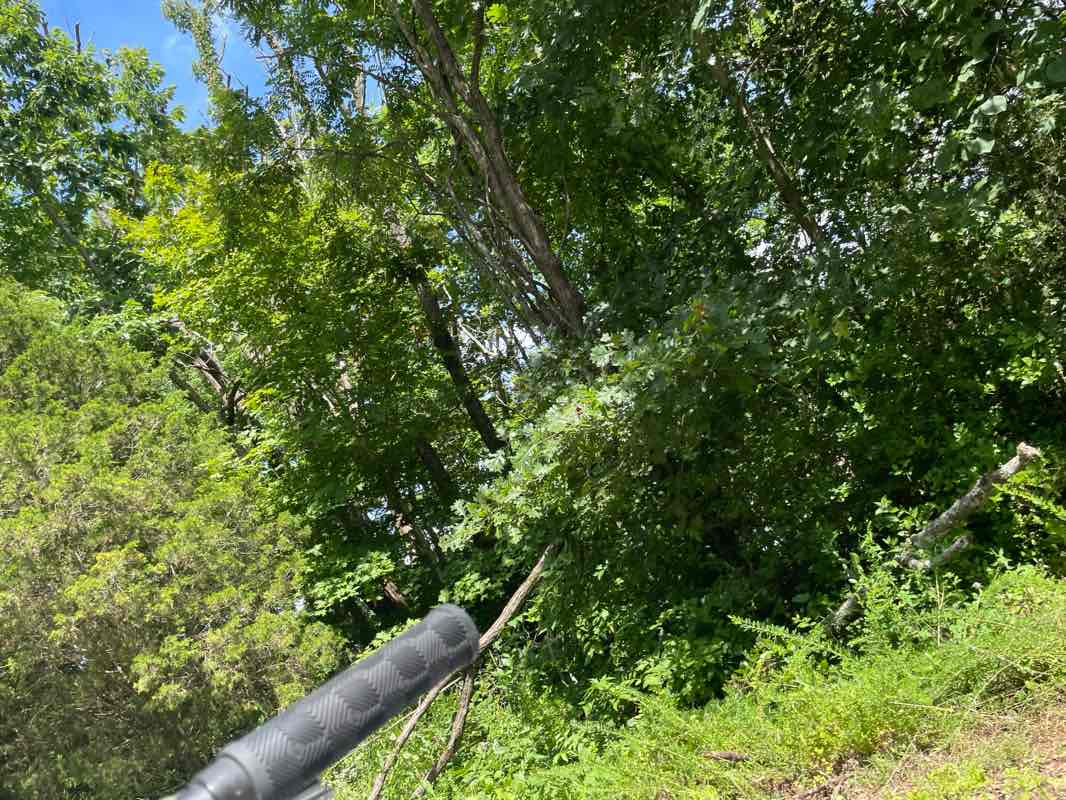 walking near me in Lyons Field Park in autumn