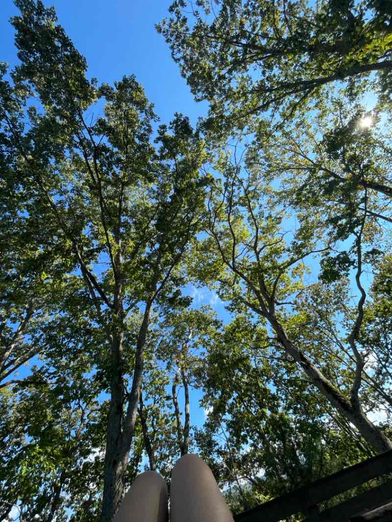 walking near me in Dixon Street Park in autumn