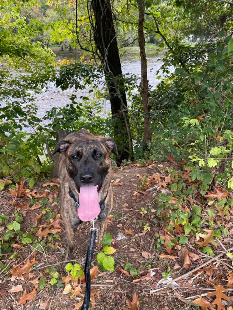 walking near me in Riverside Park in autumn