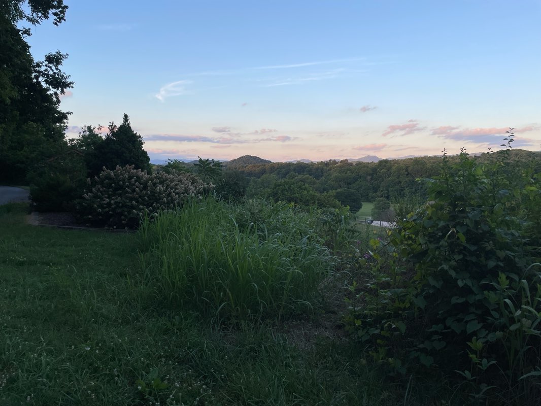 walking near me in Lyons Field Park in summer