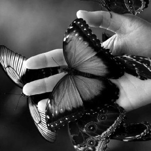 🇺🇦Elena🇺🇦 profile