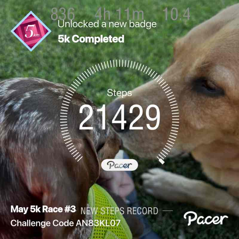 Ed Zvitkovits post 1