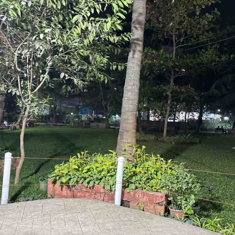 Rahul post 3