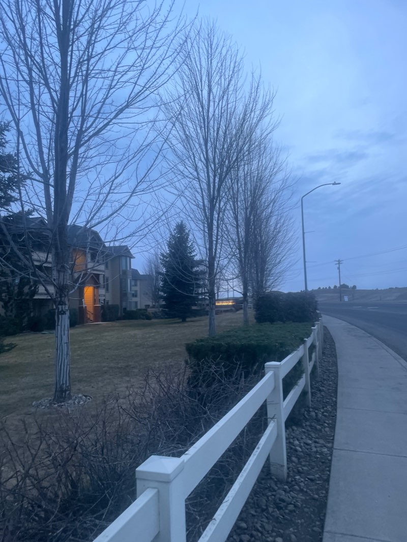 walking near me in Moos Field in winter