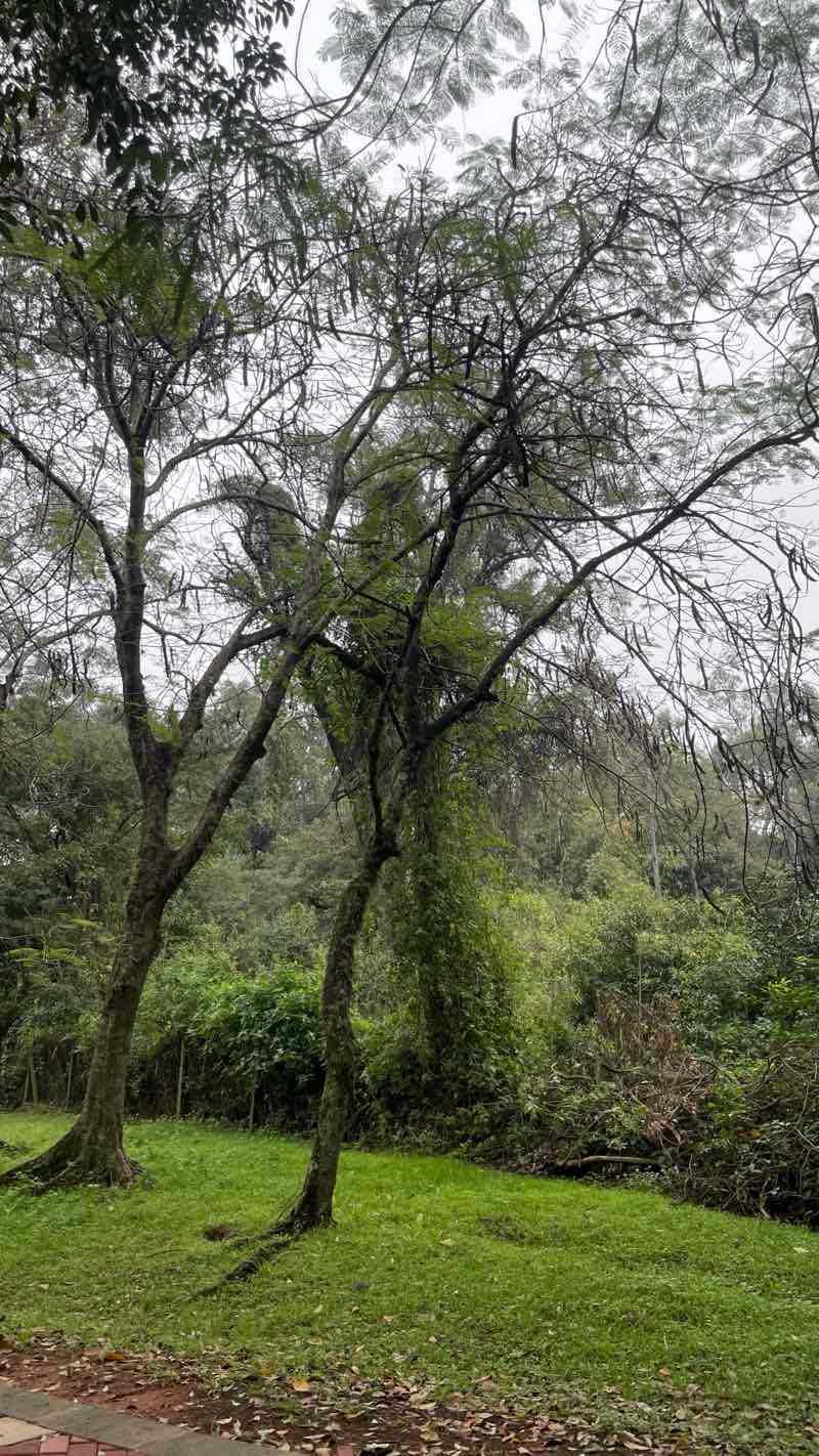 walking near me in Ciclovia de San Lorenzo in spring