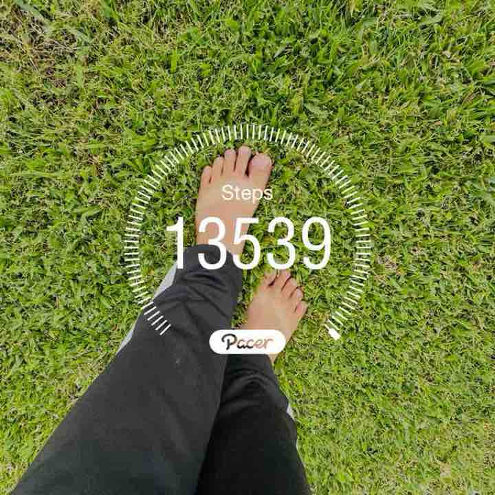 Niraj👑🏔️🐅 post 1