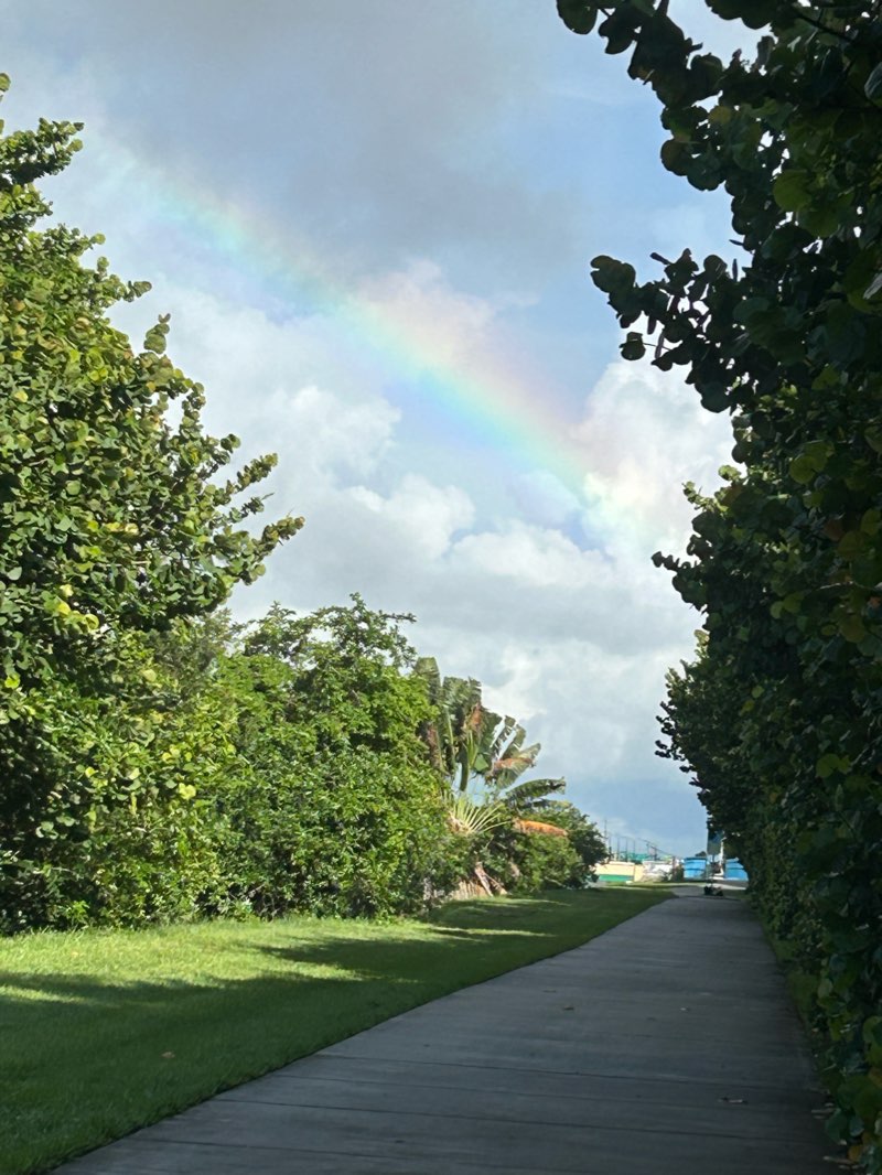 walking near me in New River Greenway in winter