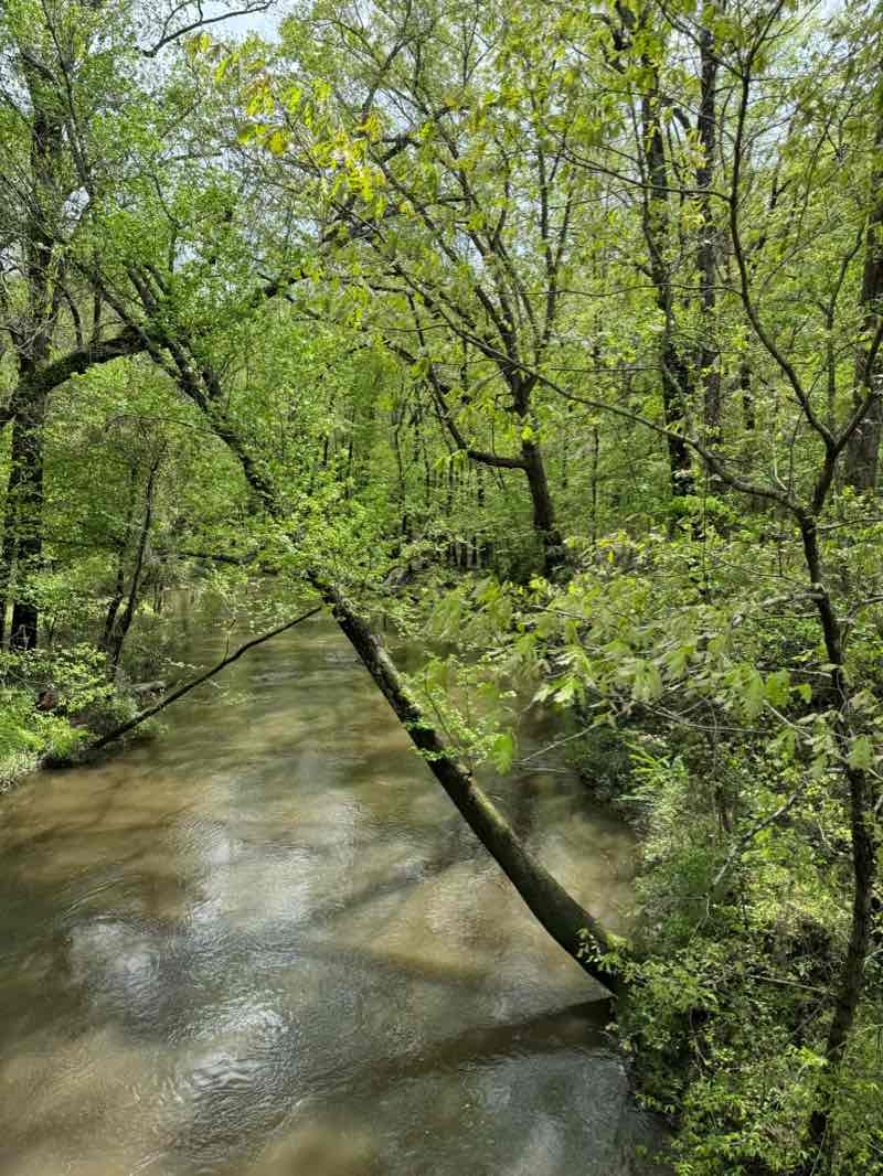 walking near me in Cayce Riverwalk in winter