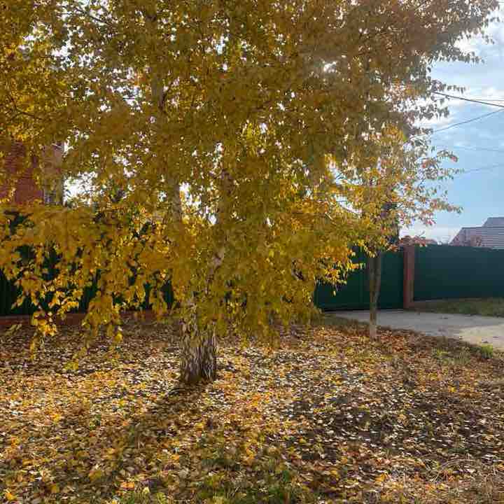 Ходим и здоровеем ✅ Лилия post image