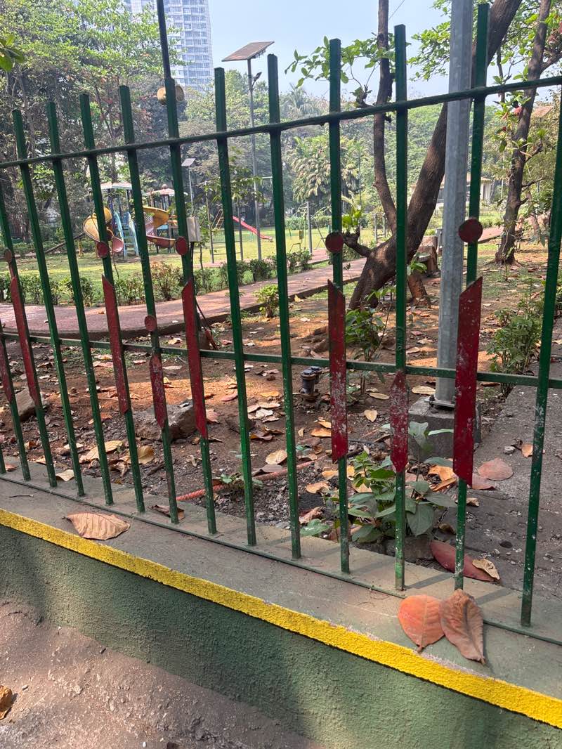 walking near me in Sector-4 Park in winter