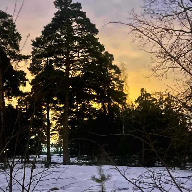 Юлия Суслова post 3