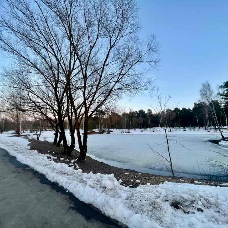 Юлия Суслова post 2