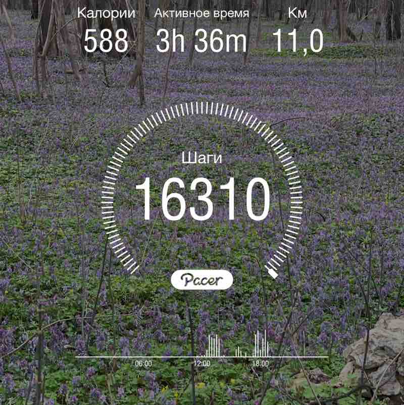 Движение - жизнь! 👣 Юлия Суслова post image