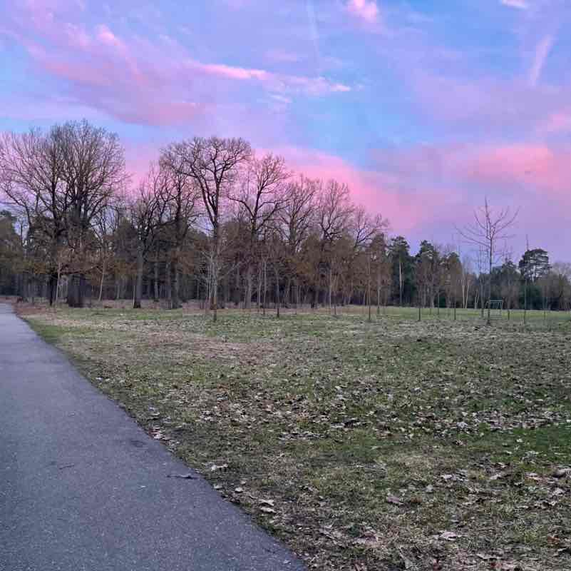 Движение - жизнь! 👣 Юлия Суслова post image