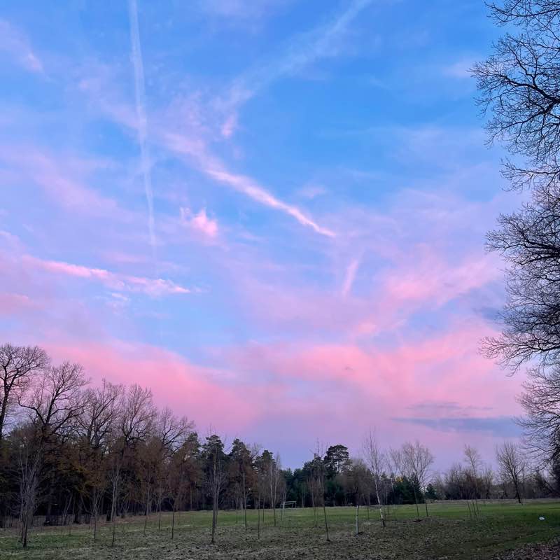 Движение - жизнь! 👣 Юлия Суслова post image