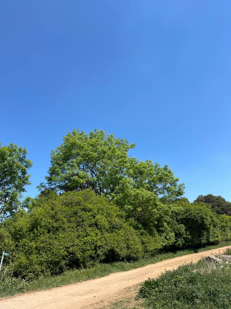 walking near me in Shotover Country Park in spring