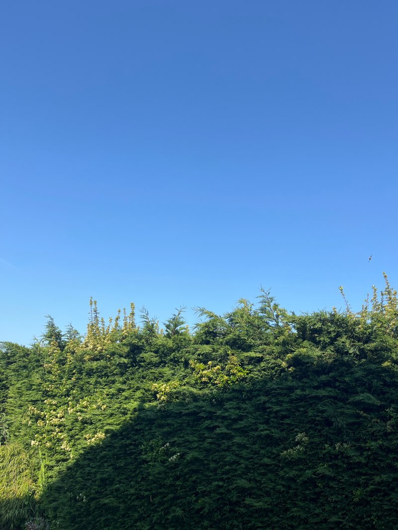 walking near me in Southern Road Recreation Ground in spring