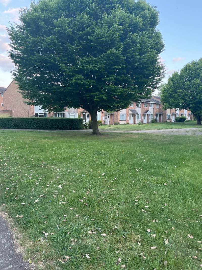 walking near me in Elms Park in spring