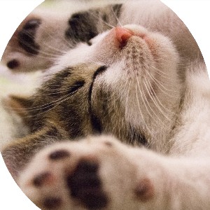 Нина Пашинская Вологда profile