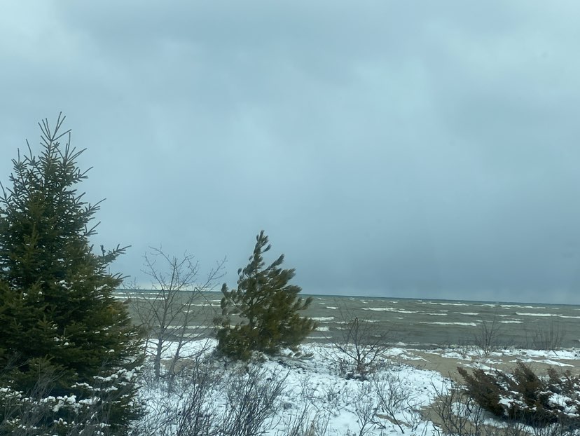 walking near me in Trout River Park in spring