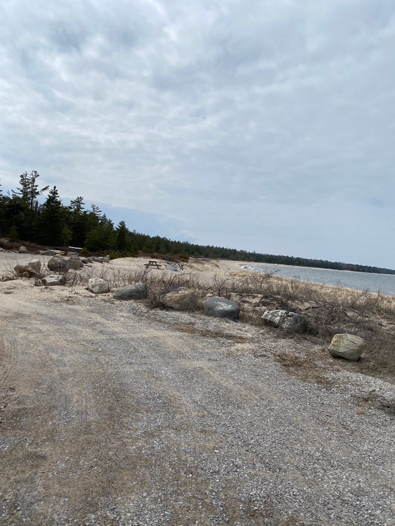 walking near me in P.H. Hoeft State Park in spring