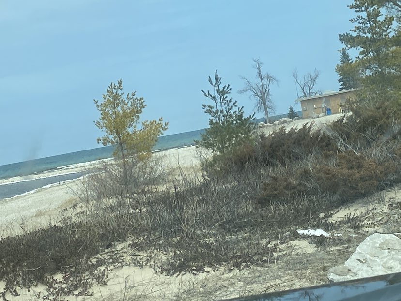 walking near me in Seagull Point Park in spring