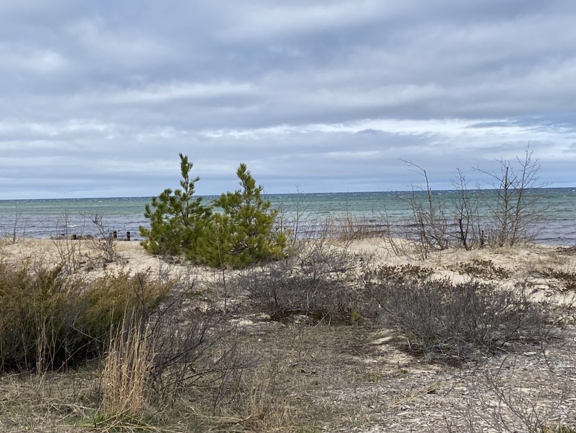 walking near me in North Shore Park in spring