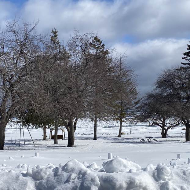 Sack Blabbath post 1