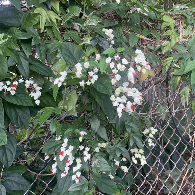 人力資源部-佩欣 post 2