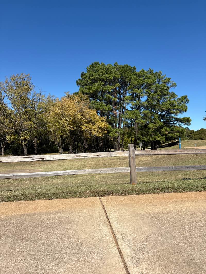walking near me in James McKnight Park East in autumn