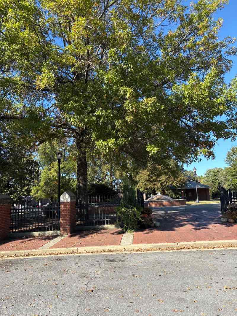 walking near me in BB&T Park in autumn