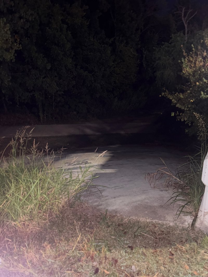 walking near me in Walnut Creek Linear Park in autumn