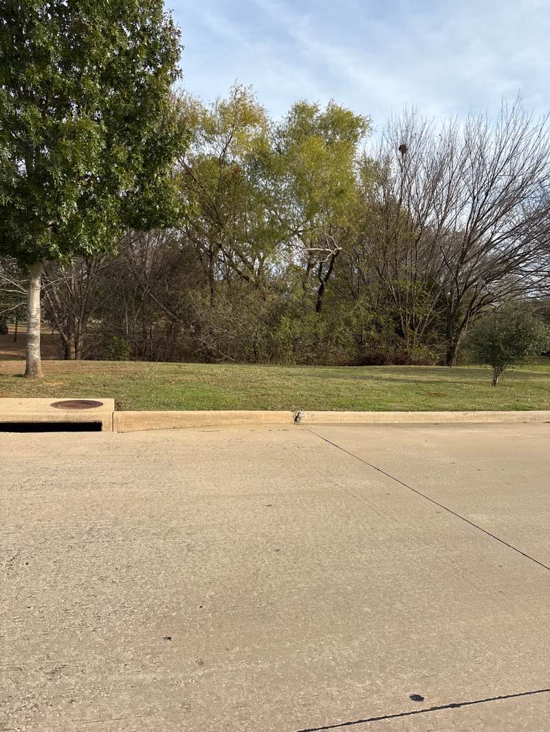 walking near me in Twin Creeks Park in autumn