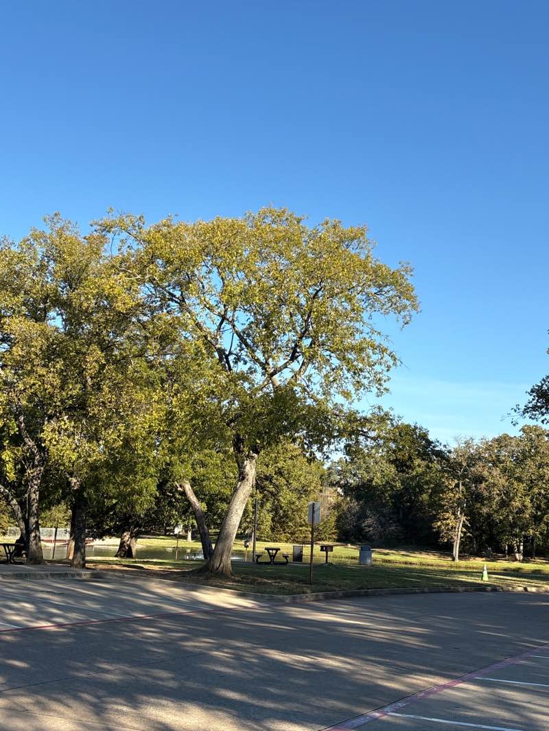 walking near me in F.J Red Kane Park in autumn