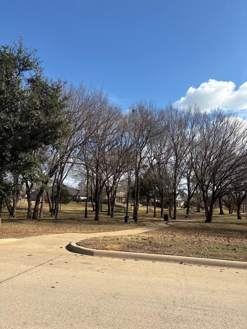 walking near me in Twin Creeks Park in winter