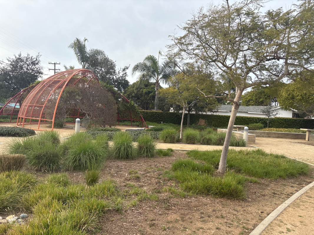 walking near me in Brierly Field in winter