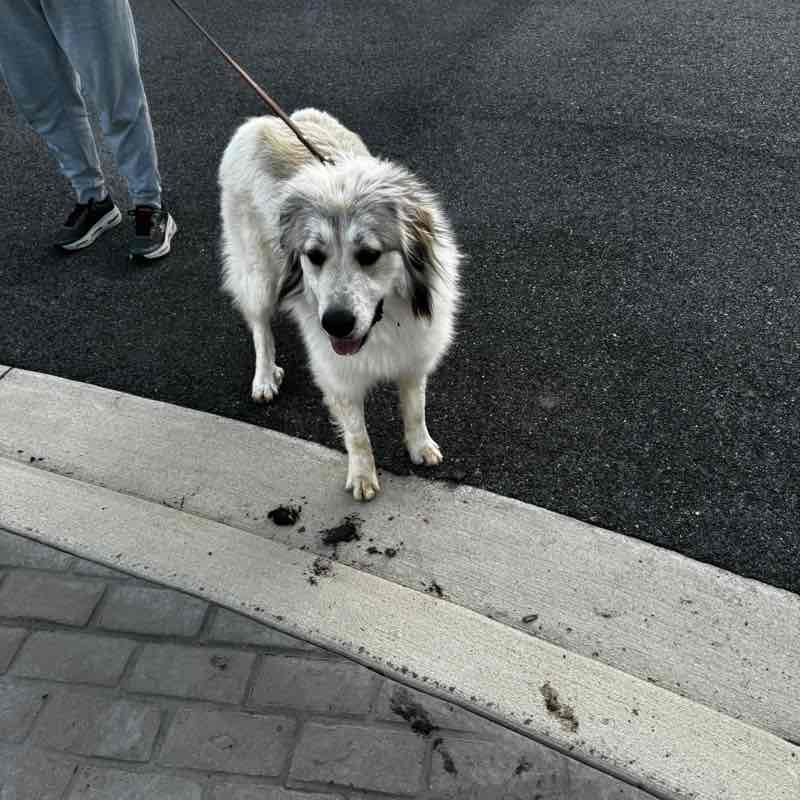 losers with no friends Jess post image